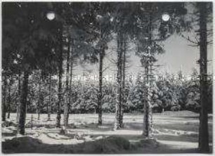 Winterlandschaft, Taunus, Feldberg