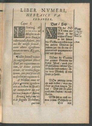 Liber Numeri, Hebraice Vaiedabber.