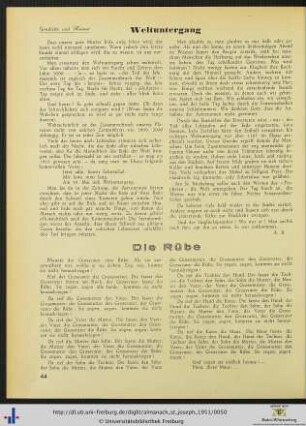 Die Rübe.