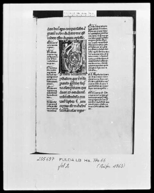 Glossa ordinaria in libros Tobias, Judith, Esther — Initiale T (obias) in Gestalt von Drachen und Ranken, Folio 2recto