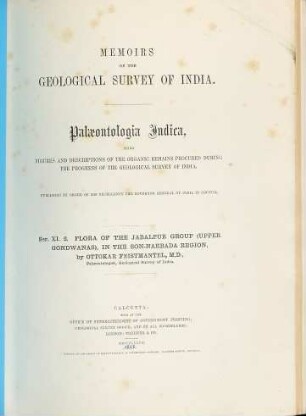 Flora of the Jabalpur Group (Upper Gondwanas), in the Son-Narbada Region
