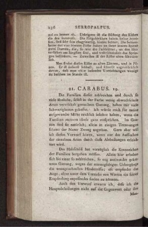 21. CARABUS.