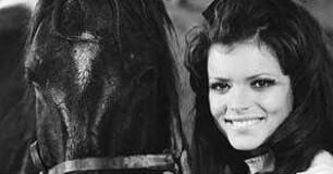 Black Beauty