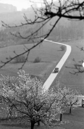 Ebringen: Blütenpracht an der Berghauser Kapelle