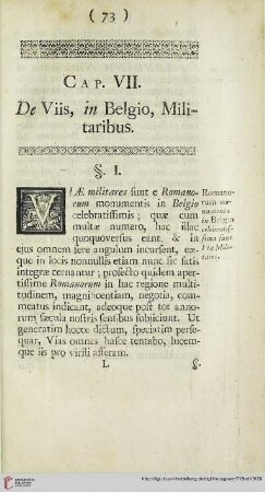 Cap. VII: De viis, in Belgio, militaribus