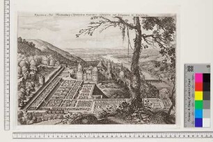 Der Hortus Palatinus und Schloss Heidelberg