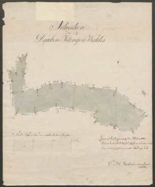 Situationsplan des Dauben-Klingen-Waldes
