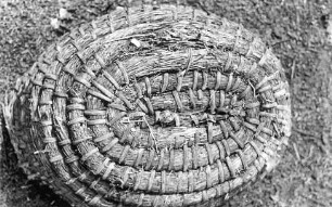 Bienenkorb aus Sabrodt : Handwerkstechniken - Bienenzucht und Wachszieherei. Ort: Zabrod / Sabrodt. Bienenstock aus Stroh ( "Bienenkorb")