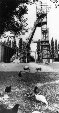 Zeche Hugo, Schacht Nord (7) in Gelsenkirchen nach der Stillegung