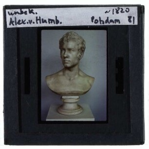 Unbekannt, Porträtbüste Alexander von Humboldt