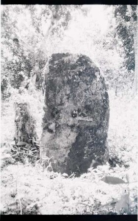 El Palmar, Stela 23 (PLM: St. 23)