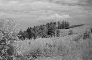 Landschaft im Harz