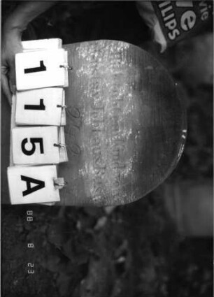 Grabstein 115 (Index: 100096082) Maße HxBxT: 53x35x7 cm Symbolik: Rosenzweig Besonderheit: Kindergrab: Grabstein 115A