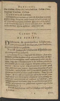 Caput VII. De Pedibus