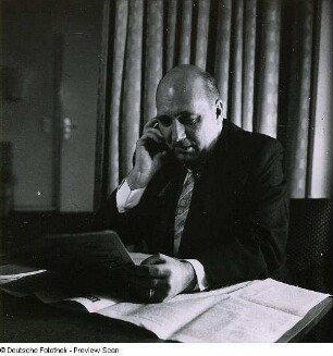 Portraitserie Theodor Schieder