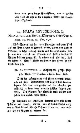 49. Malva rotundifolia L.