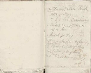Agrarwirtschaftliche Notizen von Karoline Luises Hand.