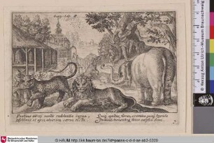 [Orpheus und Aristaeus; Orpheus playing; Orphée]