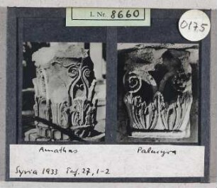 Palmyra: Amathus