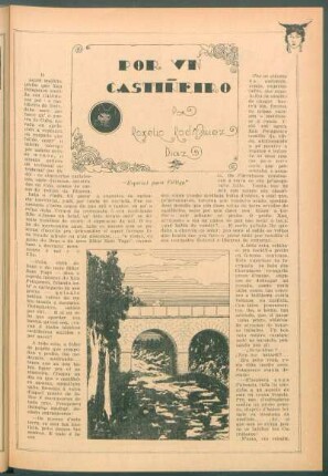 Por un Castineiro : [Ilustraciones de Camilo Rodeiro]