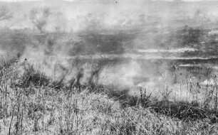 Grasbrand : Aufnahme eines Grasbrandes