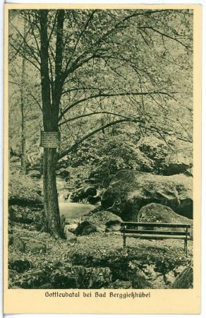 Bad Gottleuba-Berggießhübel. Gottleubatal
