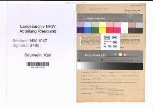 Entnazifizierung Karl Saurwein , geb. 27.02.1893 (Abteilungsleiter)
