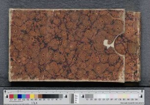 [Stammbuch Mathilde Meyer]
