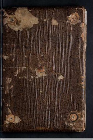 Psalmenkommentar - Cod.bibl.fol.24