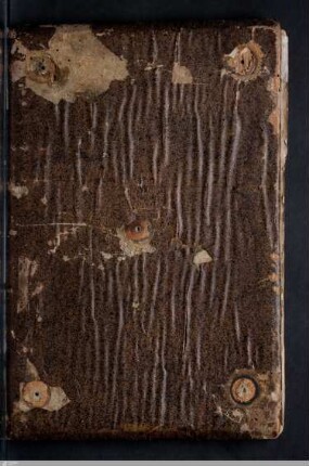 Psalmenkommentar - Cod.bibl.fol.24
