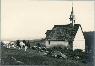 St. Martinskapelle bei Schönwald