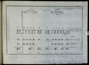 Pl. 6.