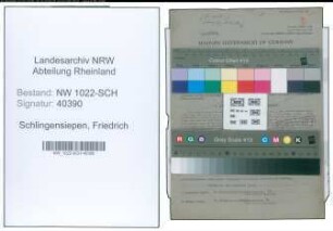 Entnazifizierung Friedrich Schlingensiepen , geb. 01.11.1898 (Haendler)