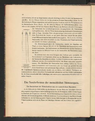 Die Sonderform der Menschenhaut und der menschlichen Hautsinne.