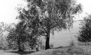 Bautzen-Burk. Steinkreuz am Stausee, unweit der Autobahnbrücke