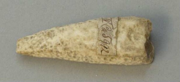 Hatchet blade (fragment)