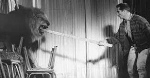 Freddy, Tiere, Sensationen