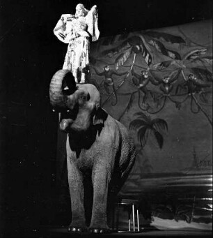 Wintergarten: Althoffs Tanzende Elefanten; Frau steht auf Elefantenkopf
