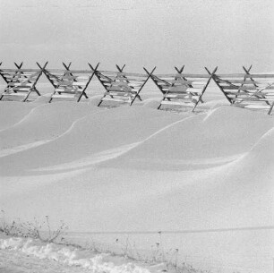 Osterzgebirge. Schneezaun bei Possendorf