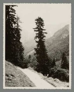 Kaisergebirge