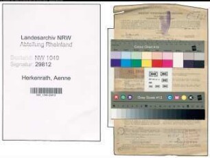 Entnazifizierung Aenne Herkenrath , geb. 02.08.1897 (Stenotypistin)