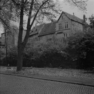 Stralsund. Blick über eine baumbestandene Straße zu Wohnhäusern