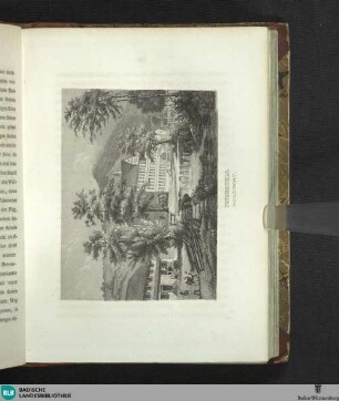 Illustration: Petersthal