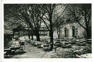 Meißen. Burgkeller, Garten