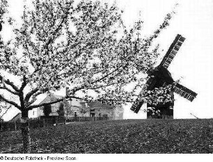 Mühlengehöft und Bockwindmühle : Lorenzkirch-Zschepa. Mühlengehöft und Bockwindmühle