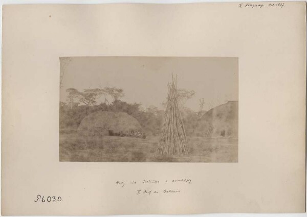 Bakairi village: Square with festival hut and eagle cage