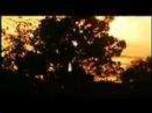 Fitzcarraldo (1982) - Trailer