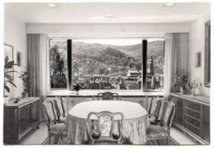 Wohnhaus Dr. R., Heidelberg: Blick aus dem Fenster des Esszimmers