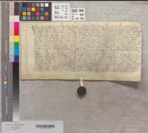 Der Richter des Abts Christoph und Kloster Marienfeld Johann thom Strothuiss zu Harsewinkel bezeugt den Rentenverkauf des Johann Batenynnck an das Kloster Marienfeld aus Besitz zu und bei Harsewinkel.