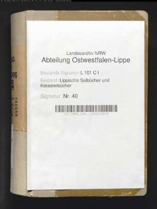 Salbuch der Vogtei Falkenberg von 1782 (Duplikat)